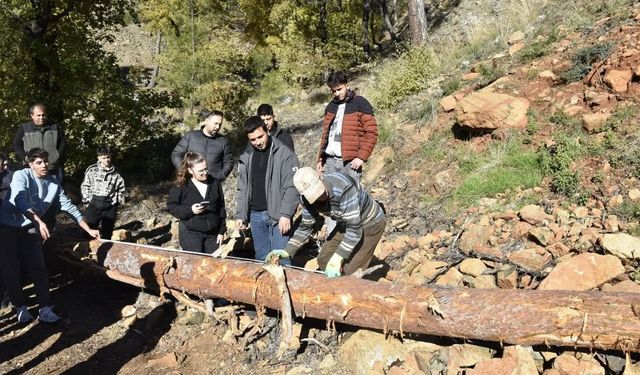 Köyceğiz'de Ormancılık Yüksek Okulu öğrencileri saha uygulamalarına katıldı