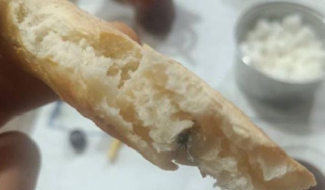 Kurtalan'da ekmeğin içinden sinek çıktı