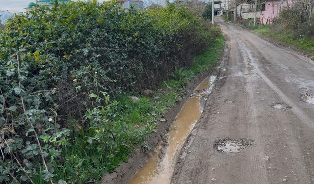 Mahallenin yıllardır süren yol çilesi vatandaşı isyan ettirdi