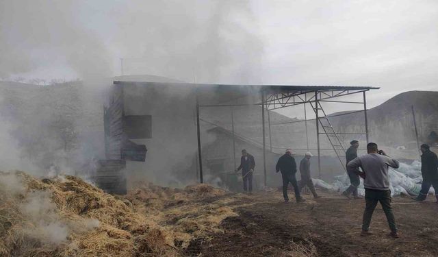 Malatya'da besi çiftliğinde yangın