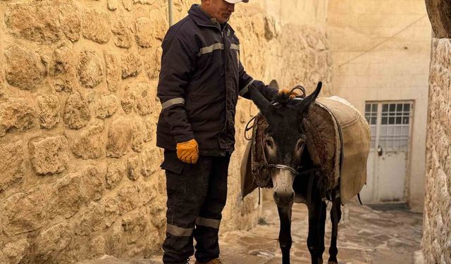 Mardin'de 'kadrolu' eşekleri emekli edecek proje hayata geçiyor