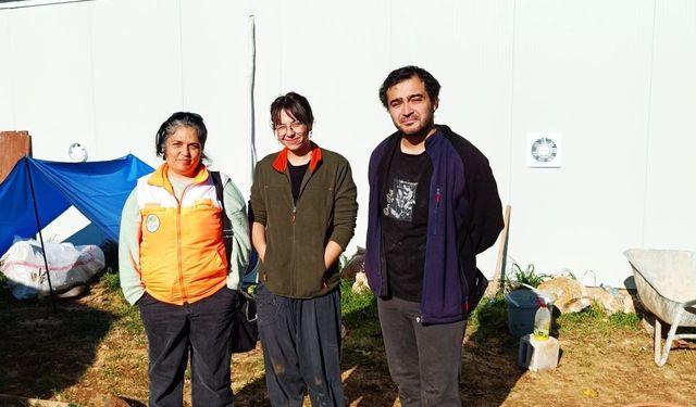 Menteşe'de zeytin üreticilerine yönelik kapsamlı bilgilendirme ve kontrol çalışmaları sürüyor