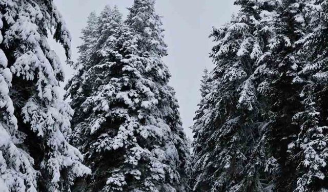 Meteorolojinin uyardığı Çankırı'da kar yağışı etkili oldu