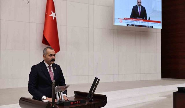 MHP'li Durgun: 'Pestisit iddiaları kamuoyunda abartılı şekilde yer buluyor'