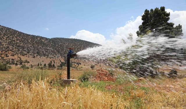 Modern tesisler ile vahşi sulama ve kayıpların önüne geçiliyor