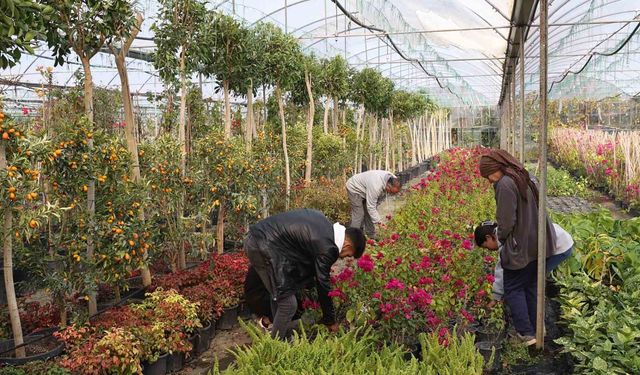 Muğla Büyükşehir'den yerel kalkınmaya katkı