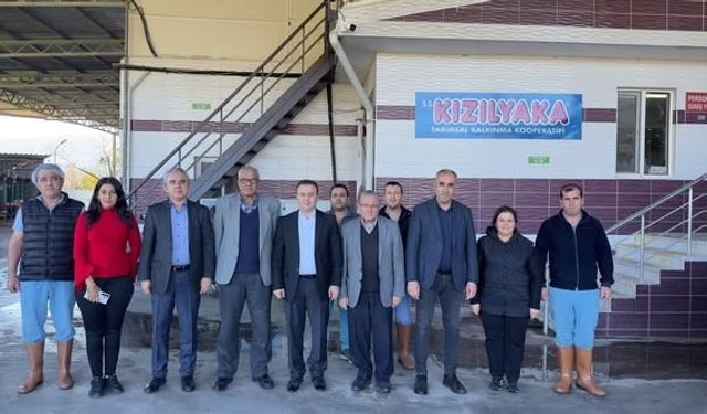 Muğla'da üretim kooperatifçilikle güçleniyor