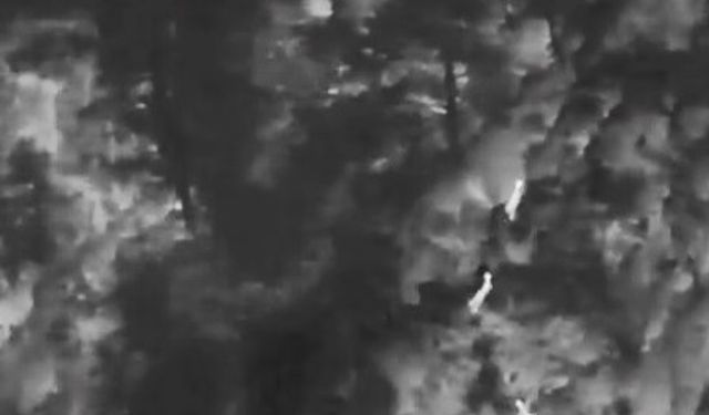 Muğla'da yaban hayatına 'dron' kalkanı