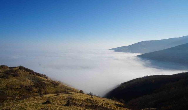 Muş'ta sis ovayı kapladı: Kartpostallık manzaralar oluştu