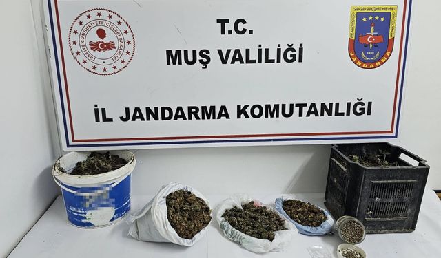Muş'ta uyuşturucu operasyonu
