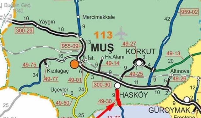 Muş'ta yoğun kar yağışı: Hasköy-Mutki yolu ulaşıma kapandı