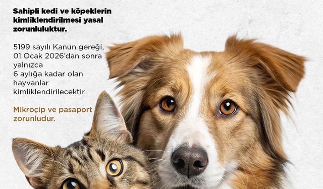 Niğde Belediyesi'nden kedi ve köpek sahiplerine uyarı: Son başvuru 31 Aralık 2025
