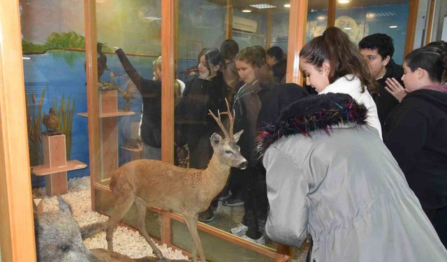 Öğrenciler hayvan müzesini ilgi ile gezdi