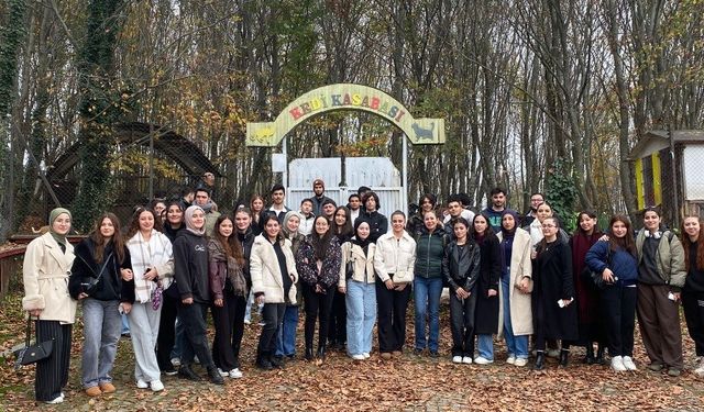 OMÜ'den sokak hayvanlarına destek: Barınağa 312 kilo mama bağışı