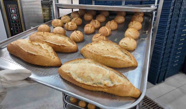 Ordu'da 1 yılda 5 milyon 800 bin halk ekmeği üretildi