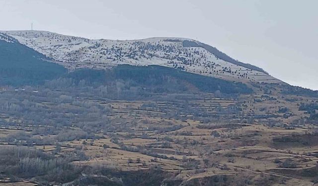 Posof kar yağışı sonrası beyaza büründü