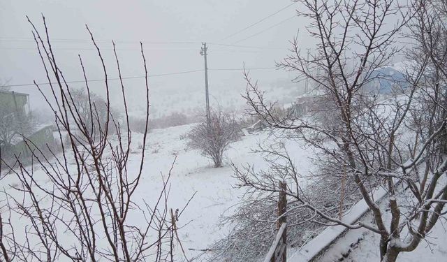 Posof'ta kar yağışı etkili oluyor