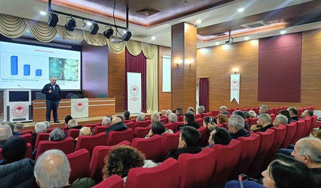 Prof. Dr. Yeninar: 'Arı ölümlerinin çoğu kışlamaya bağlı ortaya çıkıyor'