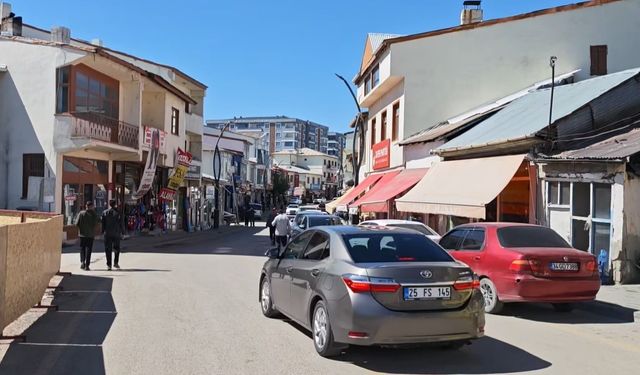Pülümür'deki 4.2 büyüklüğünde deprem Tercan'da da hissedildi
