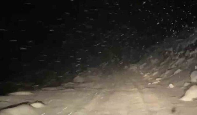 Rize'nin yüksek kesimlerinde yoğun kar yağışı etkili oldu