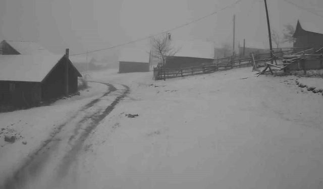 Sakarya'nın yüksek kesimleri beyaza büründü