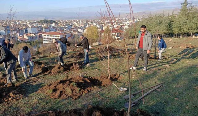 Sandıklılı yarenler badem fidan dikti