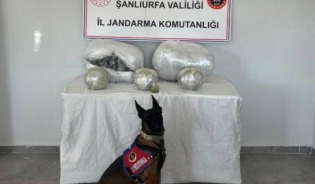 Şanlıurfa'da 25 kilogram uyuşturucu madde ele geçirildi