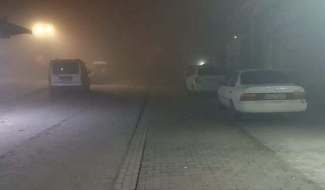 Şanlıurfa'da gece boyu yoğun sis etkili oldu