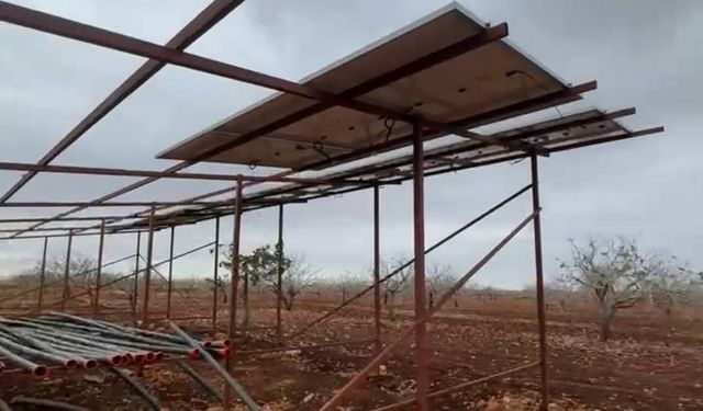 Şanlıurfa'da hırsızlar sisli havada güneş enerjisi panellerine dadandı