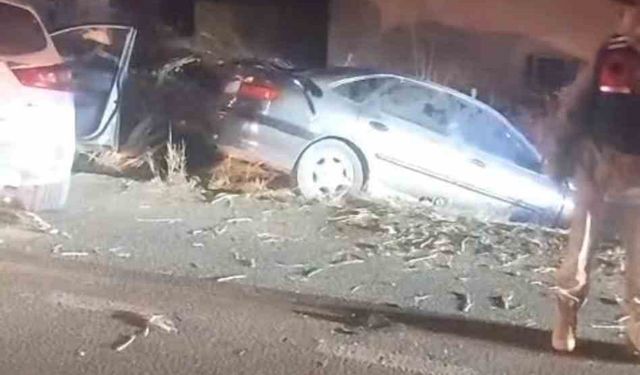 Şanlıurfa'da iki otomobil kafa kafaya çarpıştı: 1 ölü, 9 yaralı