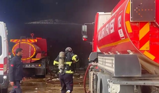 Şanlıurfa'da pamuk fabrikasında yangın