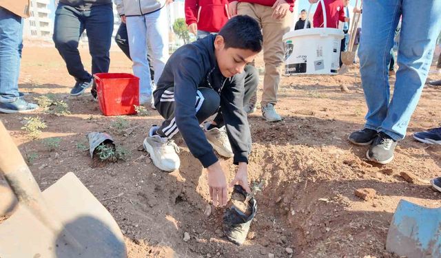 Şanlıurfa'da 'Yeşeren Okullar Projesi' ile fidanlar toprakla buluştu