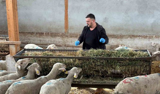 Şap mağduru üreticiler destek bekliyor