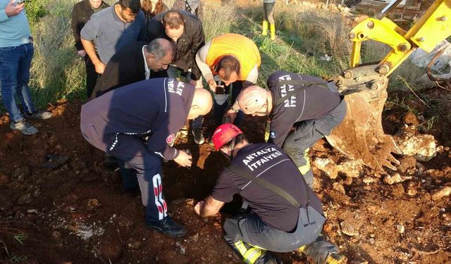 Seslerini küçük çocuk duydu, çalındı sanılan 2 koyun düştükleri 5 metrelik kuyudan kurtarıldı