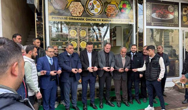 Siirt'te 12 kadın kooperatifleşti