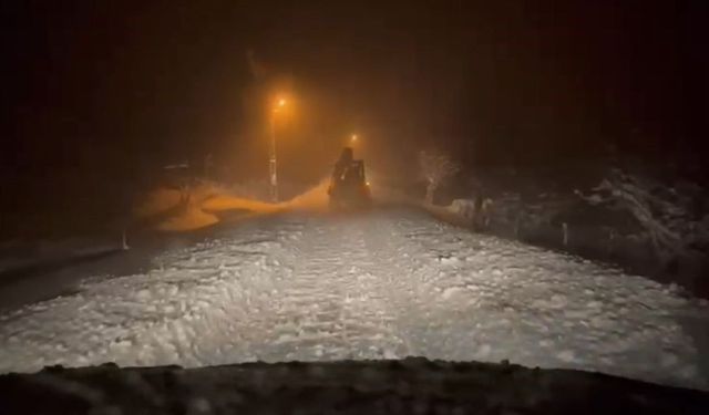 Siirt'te kapalı 251 köy yolunun 91'i ulaşıma açıldı