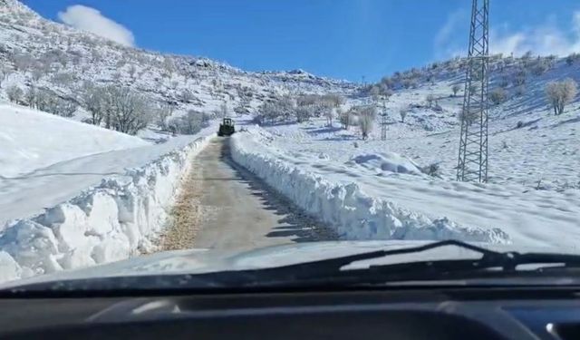 Siirt'te kar nedeniyle kapanan yollar açıldı