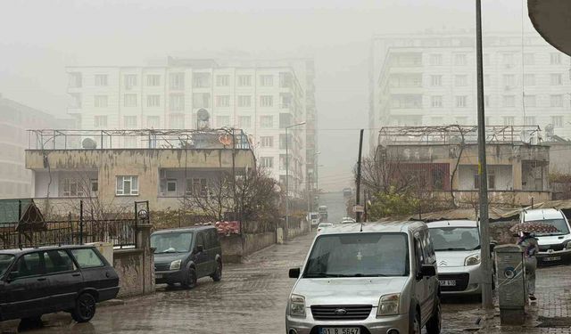 Siirt'te sis ve sağanak yağış etkili oldu