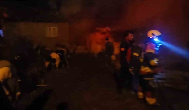 Sındırgı'da hayvan damı ve samanlıkta yangın