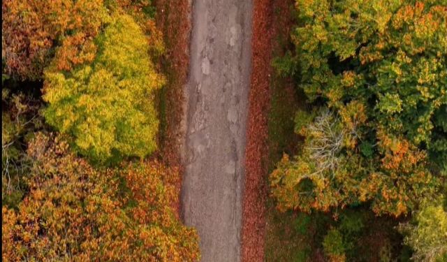 Sinop'ta sonbahar güzelliği