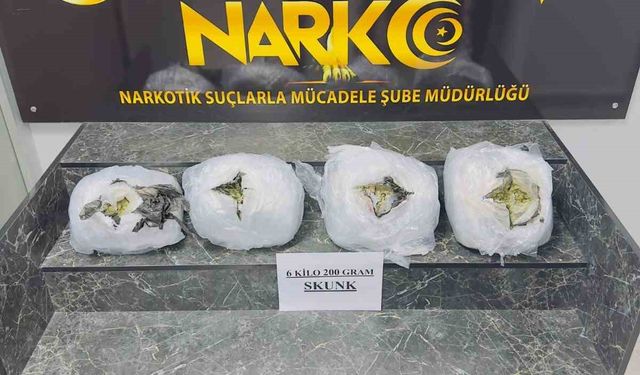 Şırnak'ta 6 kilo 200 gram skunk ele geçirildi
