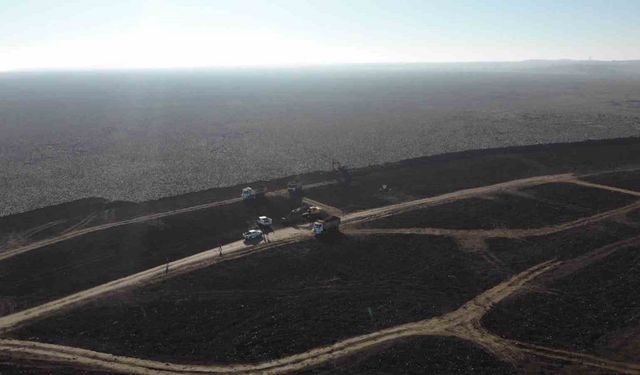 Şırnak'ta atıl araziler milli servete dönüştü