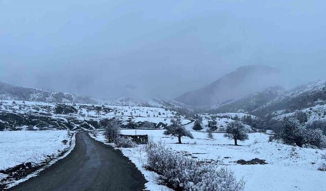 Sivas'ın Karadeniz'e açılan kapısına kar yağdı, kartpostallık görüntüler oluştu