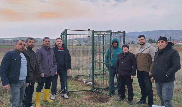 Sivas'ta süneler yapay zeka ile takip edilecek