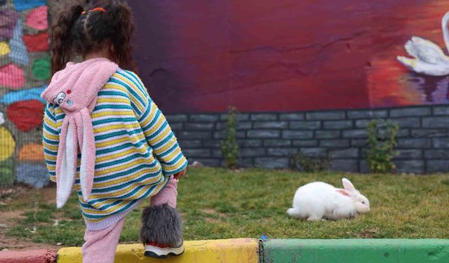 Sivrice Kadın Cezaevi, EuroPris'te 30 ülkeyi geride bırakarak birinciliği aldı