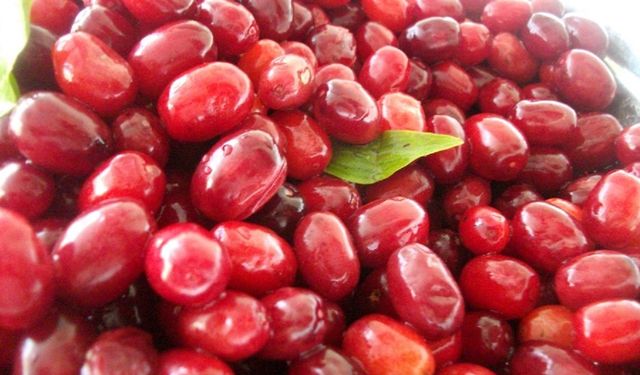 Soğuk algınlığına doğal çözüm: Kızılcık