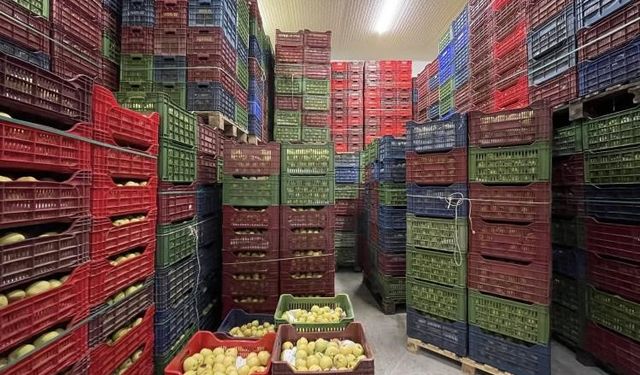 Soğuk Hava Deposu tam kapasite hizmet veriyor