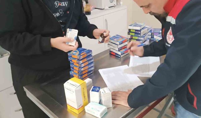 Söke'de özel veteriner klinikleri denetlendi