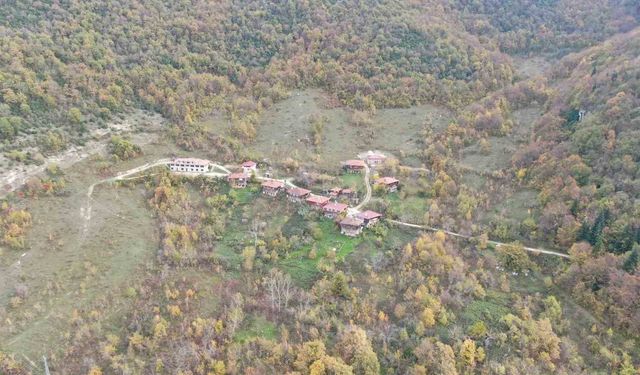 Sonbahara bürünen ormanlar ve 'çam kokulu' evler mest ediyor