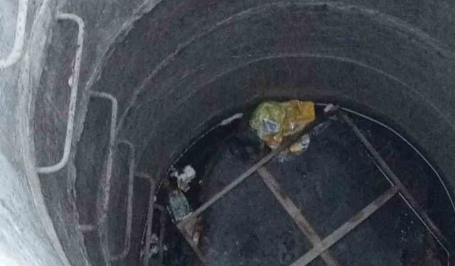 Su kuyusunda mahsur kalan yavru kedi, kurtarılarak annesine teslim edildi